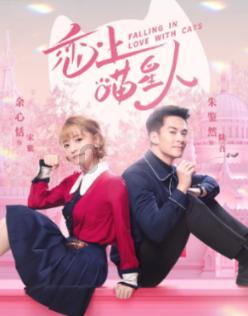 解答您的问题,尽在超帅的6大军犬,对主人很忠诚!